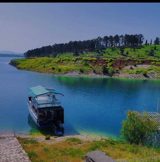 Tek gidişlik bir biletiniz var ve gemiyle seyahat edeceksiniz nereye gidersiniz?