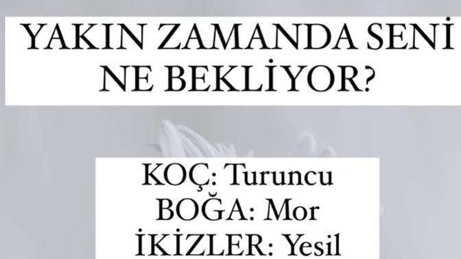 Rengini seçer misin?