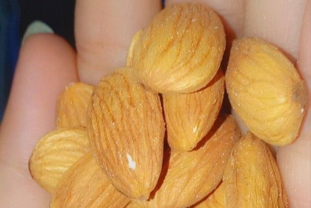 Bir gece boyunca yemek yemeden uyuyamazsanız ne atıştırırsınız?