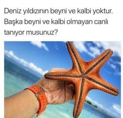 Eski sevgilinizi hangi hayvana benzetiyorsunuz?