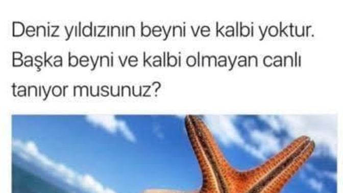 Eski sevgilinizi hangi hayvana benzetiyorsunuz?