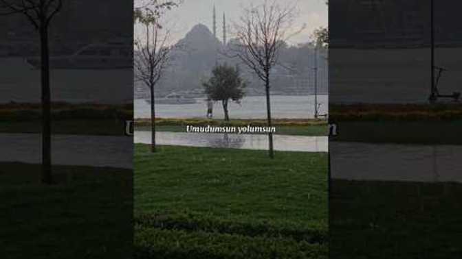 Herkesin sevgilisi seni seviyorum mesajı atar benimki de beni engellemiş adamın dibiii yaaa 😂 öyle değil mi?