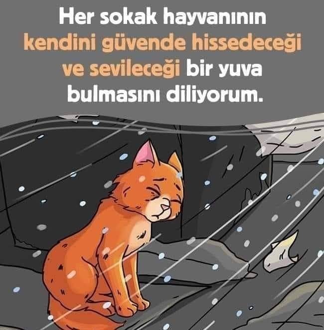 Onları unutmayalım arkadaşlar?