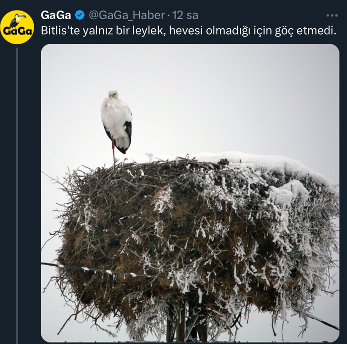 Hevesinizi kaybettiğiniz oluyor mu?