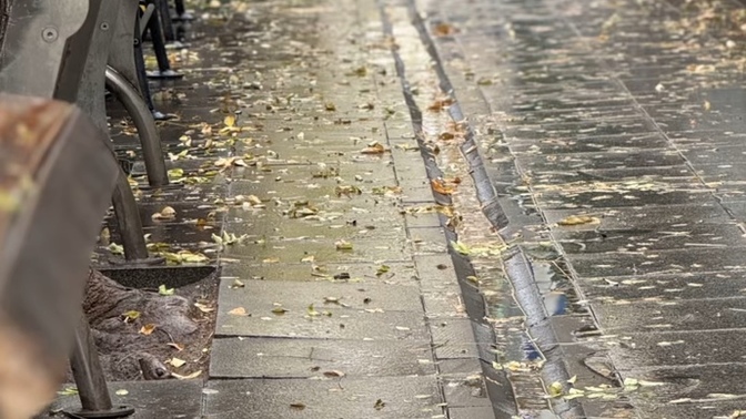 En son çektiğin fotoğrafın konumu nedir?