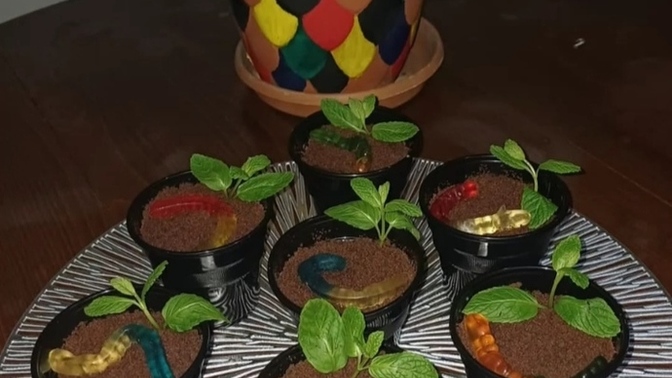 Siz hiç benim saksı tatlımı yediniz mi?