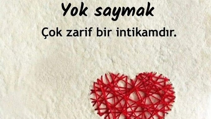 Hiç birini yok saydınız mı?