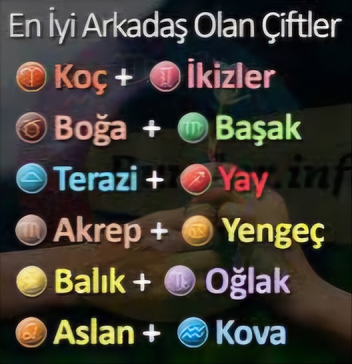 Burcunuza göre iyi arkadaş olan çiftler hangileri?