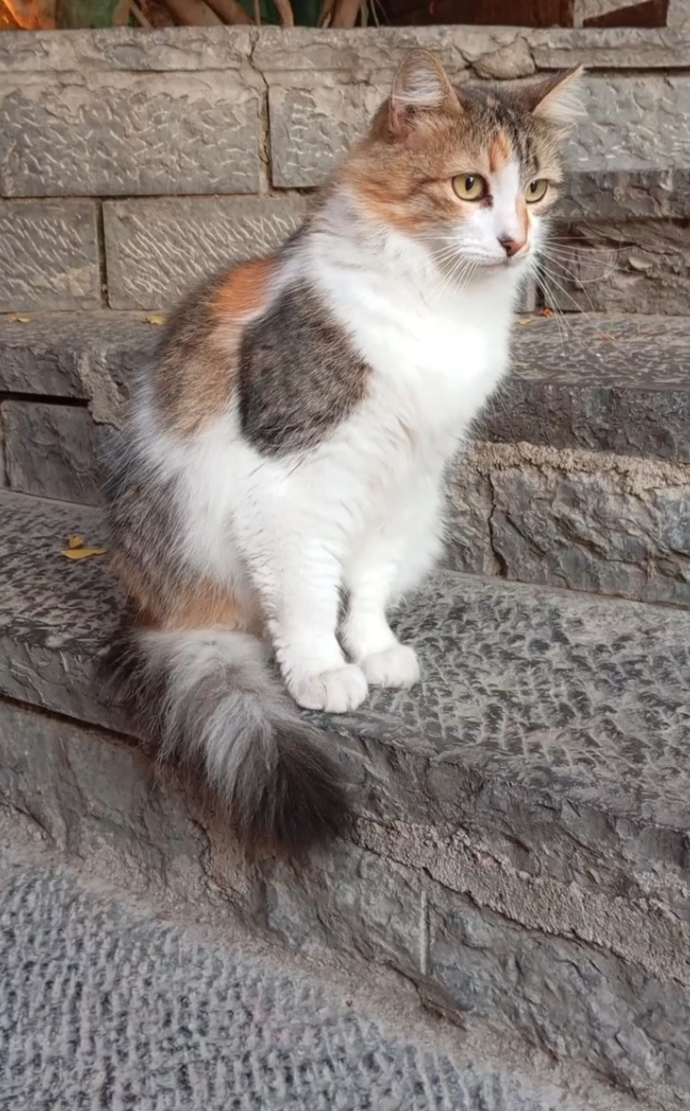 Bakışlar derin