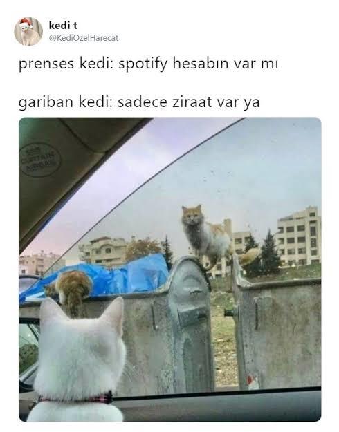 Sınıf farklılıgı olan her ilişki biter mi yoksa çiftler bu farklılıgı aşabilir mi?