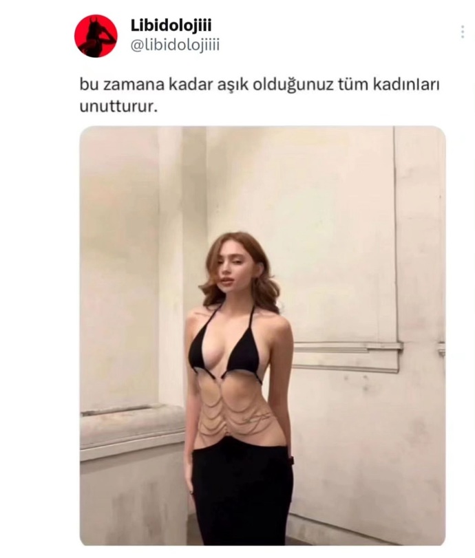 Böyle bir kadın için sevdiğiniz kadını unutur musunuz?