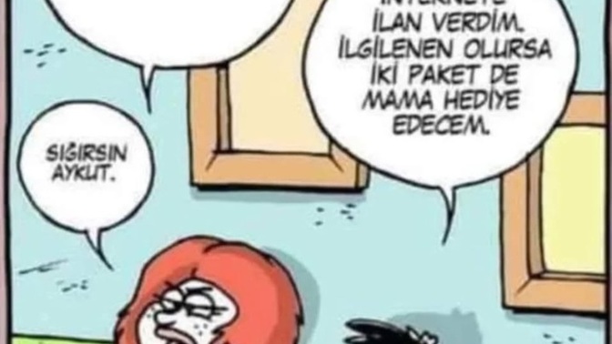 Kadınlar sevdigi erkek tarafından sahiplenilmek istermi?