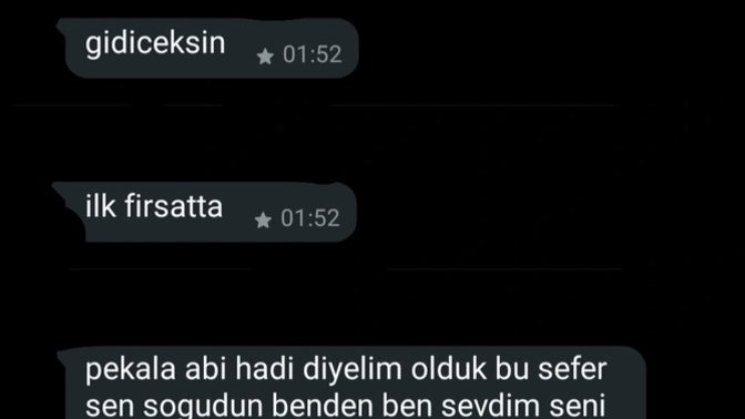 Sevdim çocuk bunu dedi? Ne demek istemiş?