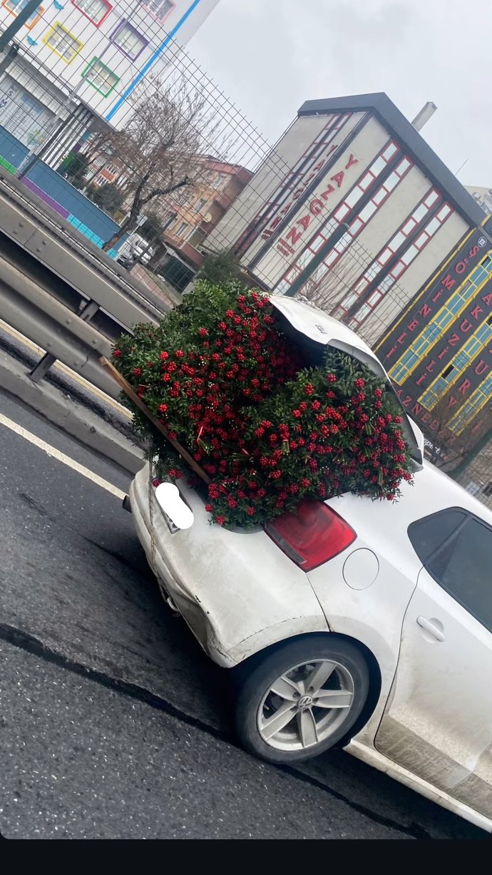 #nirhamm 🔴 🔴 🔴 🔴