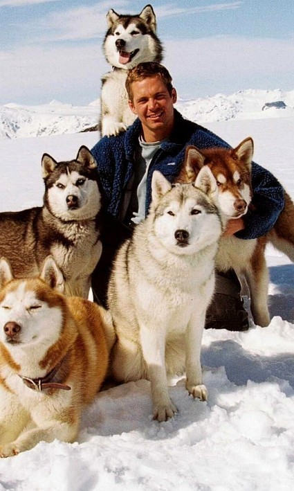 Paul Walker ın en çok sevdiğiniz Filmi Rolü hangisi nedir?