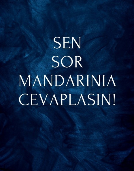 Bu defa sen sorar mısın?