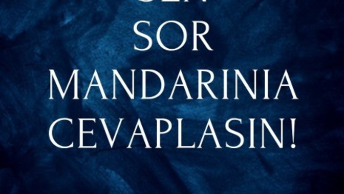 Bu defa sen sorar mısın?