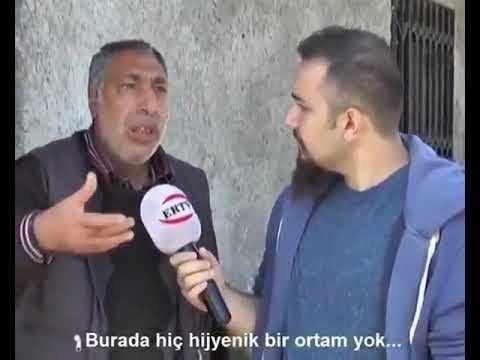İnternetteki videolar mizahınızı ne kadar etkiliyor?