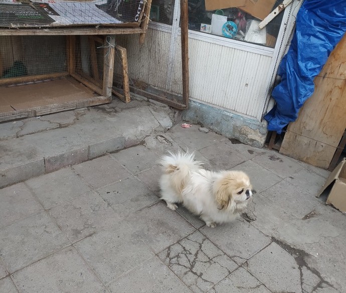 En son gördüğünüz en tatlı şey nedir?