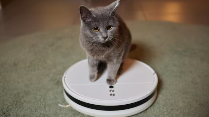 Sizce bir robot süpürgenin ömrü ne kadardır?