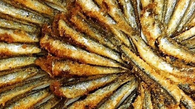 Hamsi tava sever misiniz?