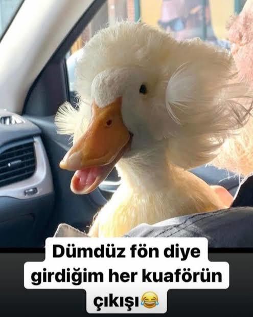 Bugün çok sıkıcı degil mi?
