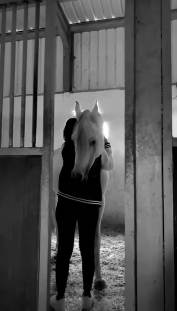 Sizce atlar 🐎 nasıl hayvanlar?