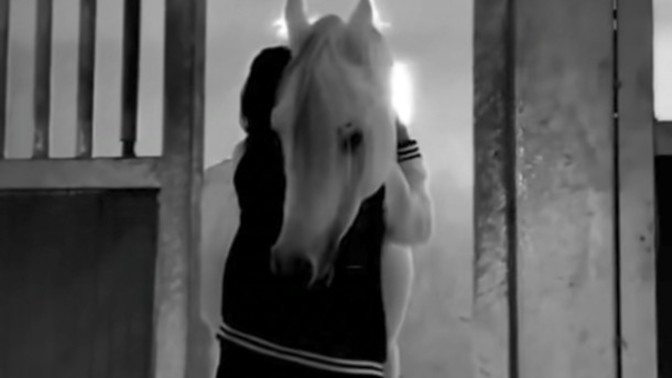 Sizce atlar 🐎 nasıl hayvanlar?
