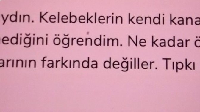İltifat edilmesi hoşunuza gider ilginizi çeker mi?