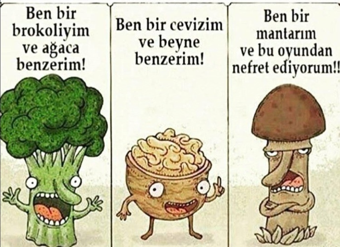 Azıcık gülelim efennim 😂