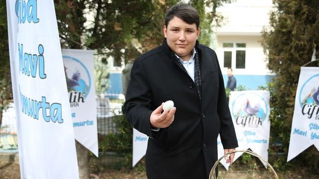 Turkiye'yi orta dogudan kurtarma projemizi nasil buldunuz?