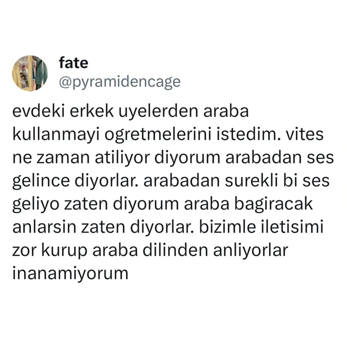 Erkeklerin kadınlar hariç her varlıkla anlaşabiliyor olmalarının sebebi nedir?