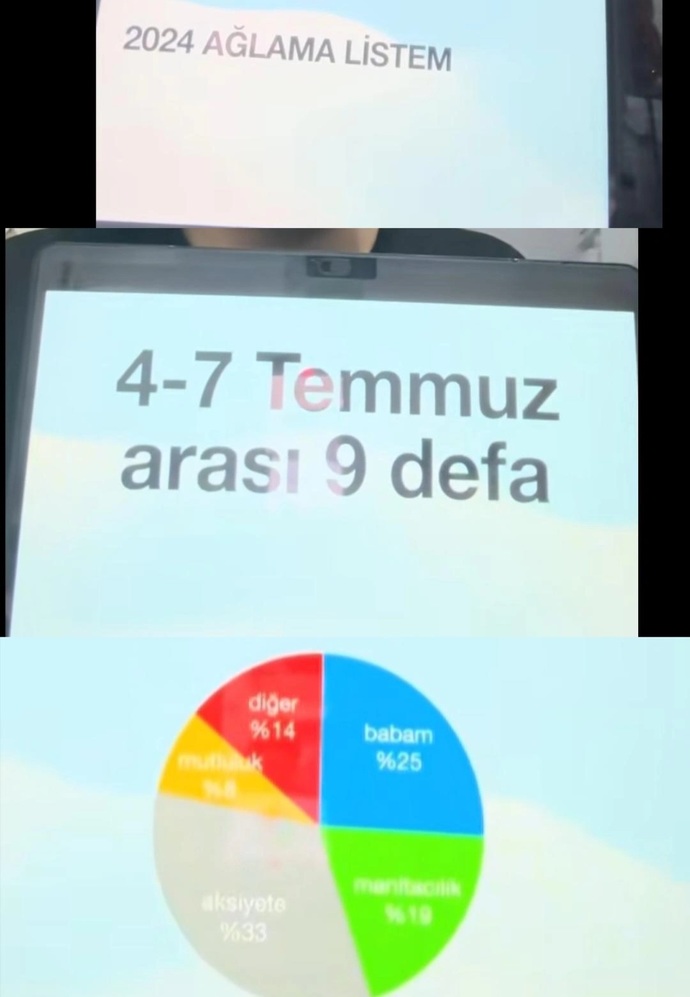 Spotify özeti gibi, yıllık duygu durumu özetiniz aciklansaydi, 2024 yılında en cok hangi duyguyu hissetmis olurdunuz?