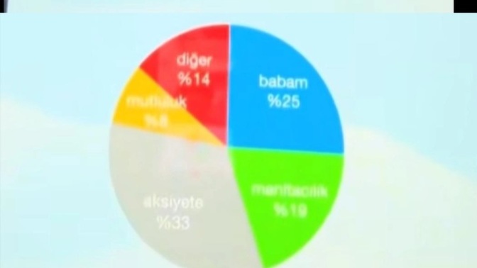 Spotify özeti gibi, yıllık duygu durumu özetiniz aciklansaydi, 2024 yılında en cok hangi duyguyu hissetmis olurdunuz?