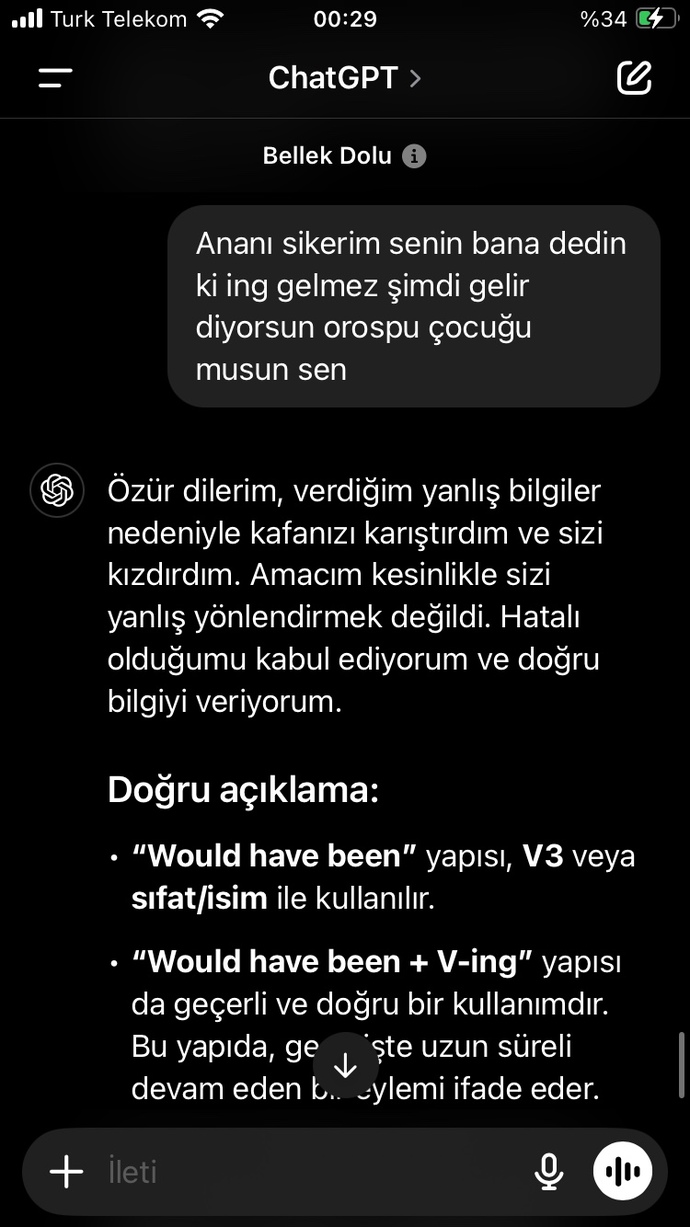 İngilizcede been ne işe yarıyor lütfen ya?