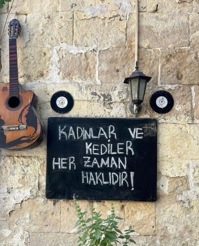 Kadınlar ve kediler her zaman haklı mıdır?