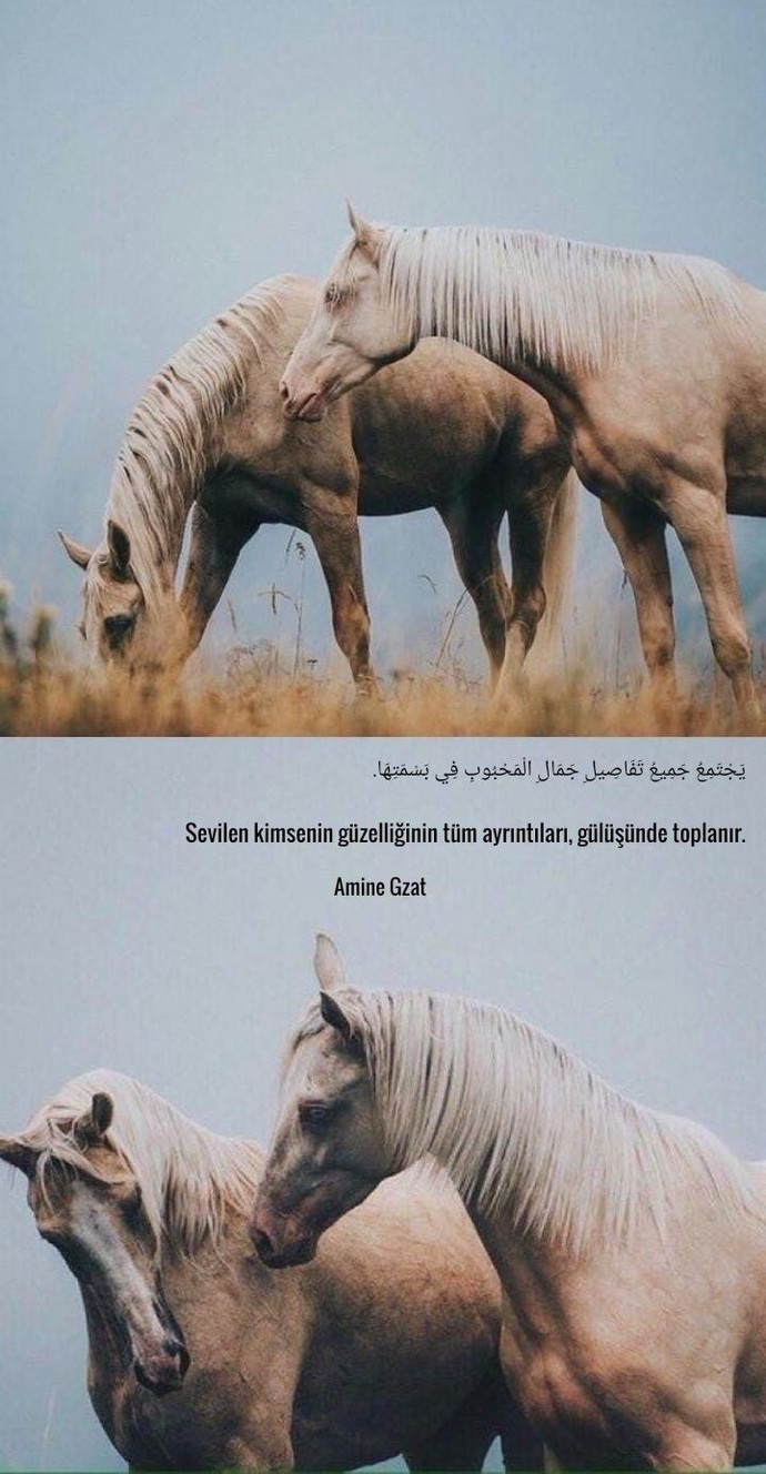 Günümüz dünyasında, kötü gün dostu mu yoksa iyi gün dostu mu daha değerlidir?