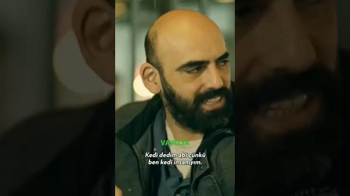 Kedi insanı mısınız?