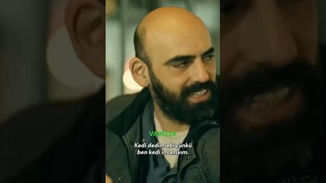 Kedi insanı mısınız?