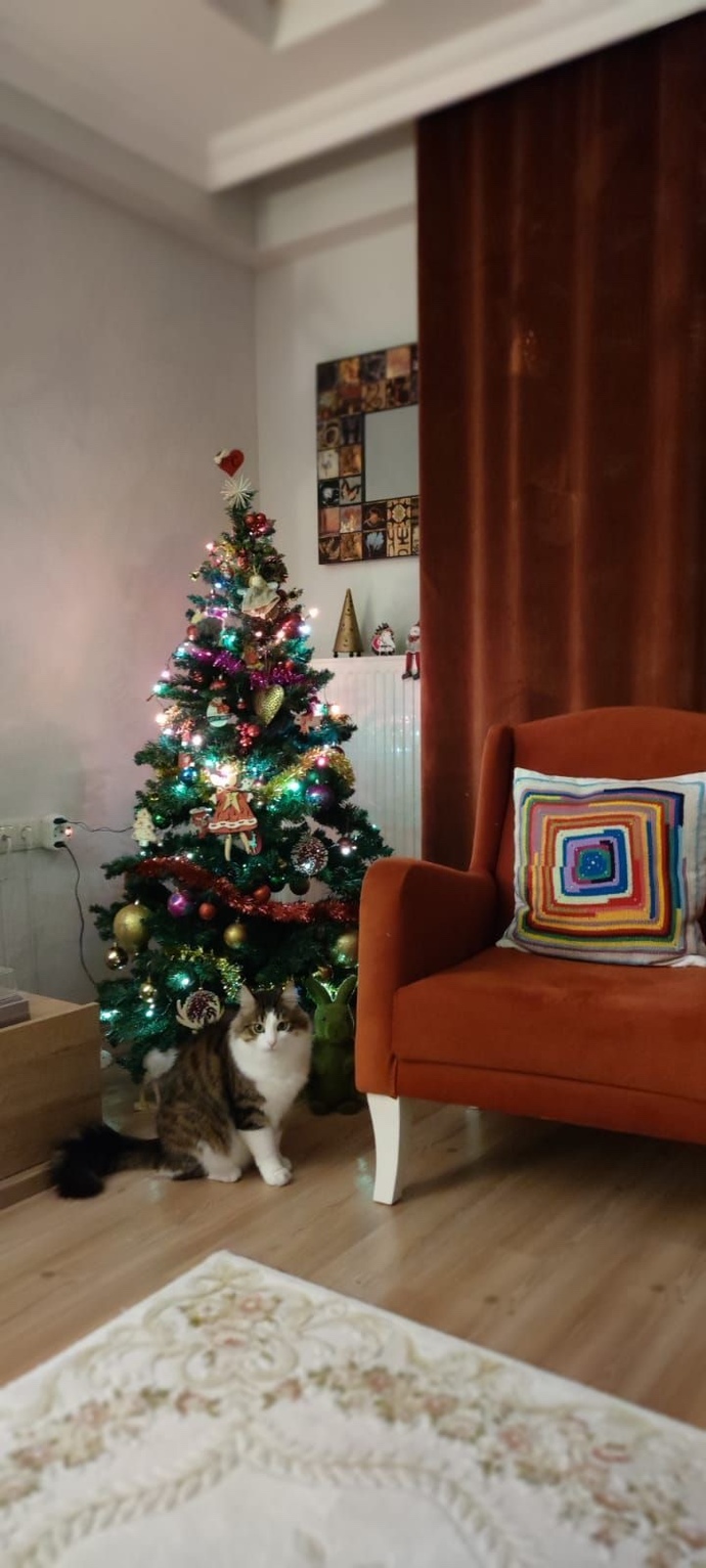 Çam ağaçlarınız hazırmı?