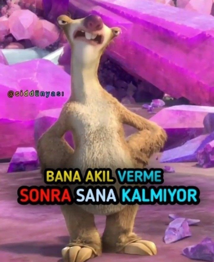Size akıl verene ne diyorsunuz?