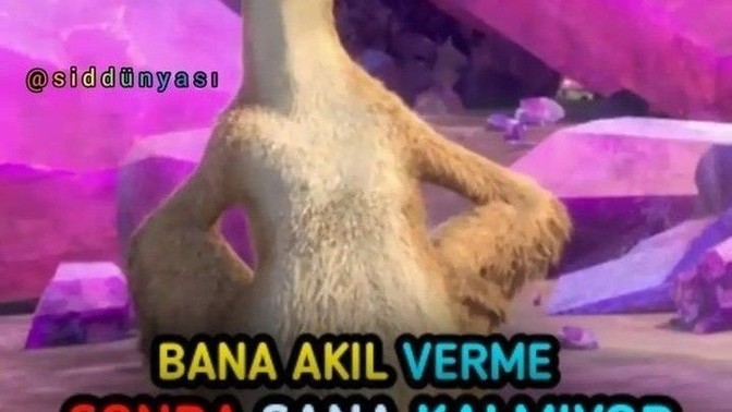 Size akıl verene ne diyorsunuz?