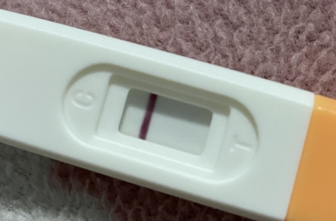 Hamilelik riski nedir?
