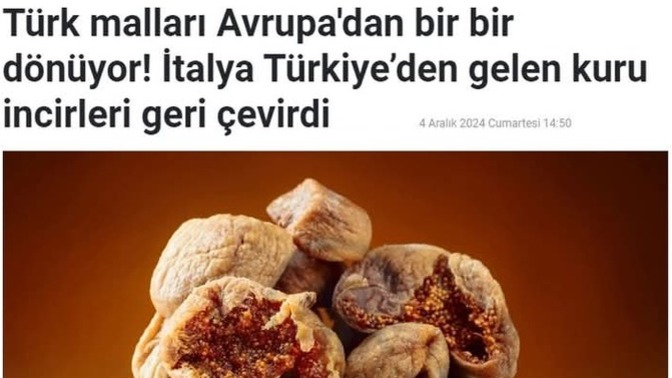 Yurtdışından geri dönen aşırı ilaçlı gıdaları yemekten memnun musunuz?