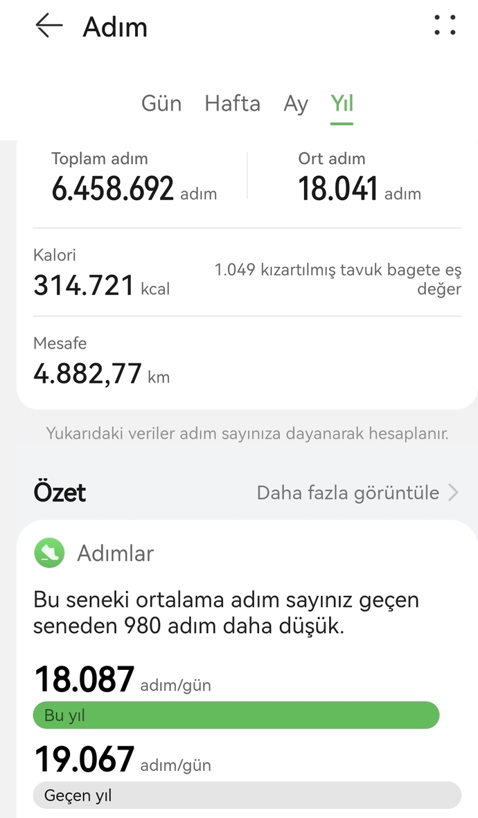 Sizce az mı yürümüşüm bu yürümeyi bir kıza yapsam şimdiye düşer miydi?