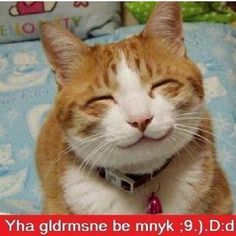 Güne özlü bir söz bırakır mısınız?