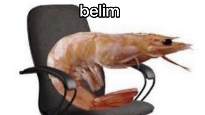 Nerede yanlış yaptığınızı bildiğiniz halde başka nedenler arıyor musunuz?