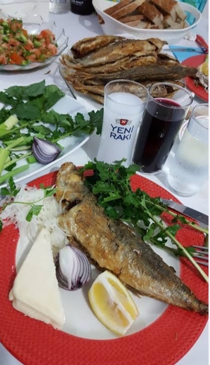 Balık diyince aklıma rakı ikizler diyince aklıma meme geliyor ya sizin?