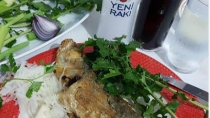 Balık diyince aklıma rakı ikizler diyince aklıma meme geliyor ya sizin?