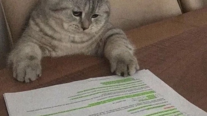 Eski mesajları okuyup üzüldüğün oluyor mu?